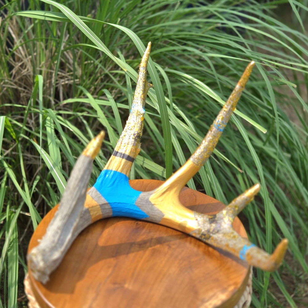 Colorful Painted Antler Decor